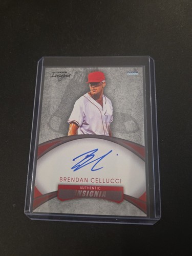 Brendan cellucci insegna - cellucci,