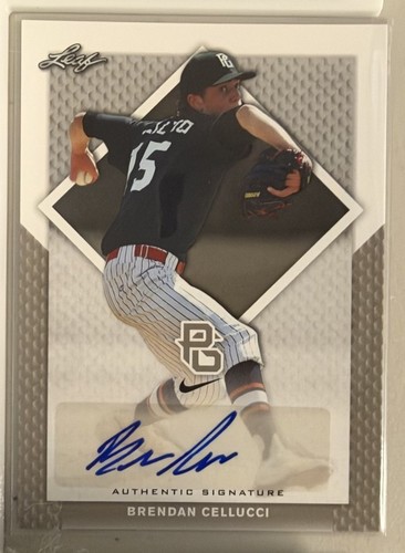 Brendan cellucci 2016 leaf - brendan,