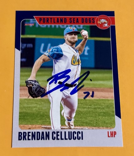 Scheda brendan cellucci - scheda,