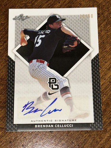 Brendan cellucci 2016 foglia - brendan,