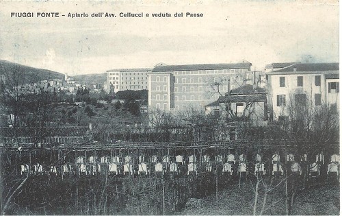 Fiuggi fonte apiario - fonte,
