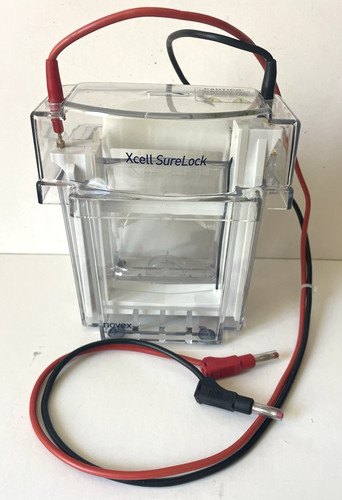 Novex ei0001 xcell surelock - novex, ei0001-xcell